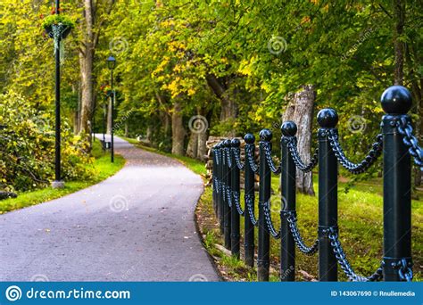 Colorful Photo Of The Road In A Park Between Woods Closeup View Of