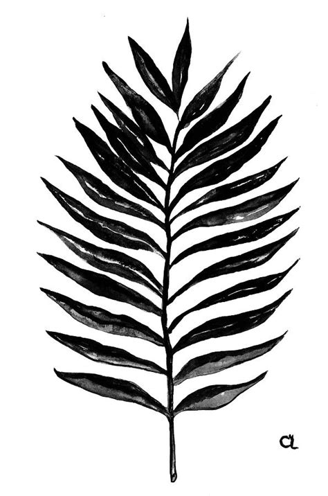 Printable Palm Leaf Black And White Palm Tree Leaves Clipart Black