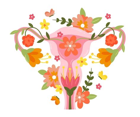 Free Vector Abstract Illustration Of Female Reproductive System