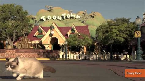 Grumpy Cat Meets Grumpy Dwarf At Disneyland Youtube