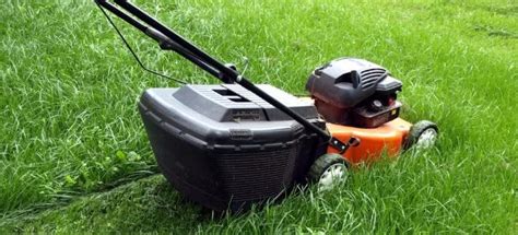 How To Mow Your Lawn Like A Pro