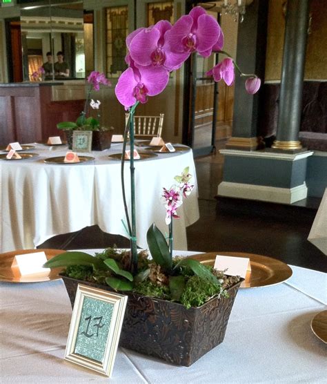 Chuck Does Art Wedding Centerpieces Orchids