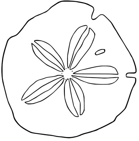 Sand Dollar Coloring Pages Coloring Home