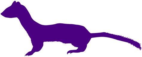 Weasel Silhouette Free Vector Silhouettes
