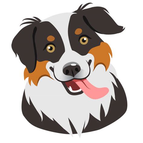Border Collie Illustrations Royalty Free Vector Graphics And Clip Art