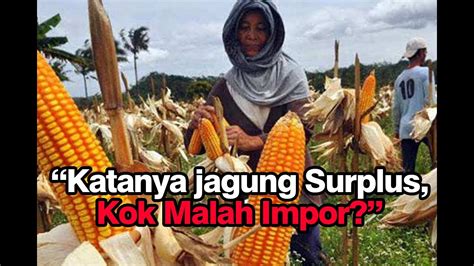 Protes Impor Jagung Petani Sumut Minta Menko Perekonomian Pulang