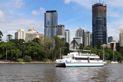 Brisbane River Cruise And Lone Pine Koala Sanctuary Distant Journeys