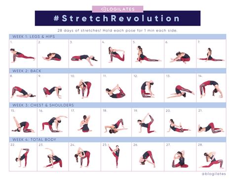 swirlster first daily stretches for flexibility