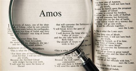 Who Is Amos In The Bible A Prophet And Shepherd