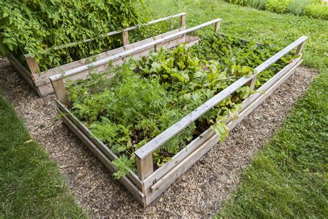 Well, the matter of drainage is also an important thing to put in mind! Backyard Vegetable Garden in Wooden Raised Beds | Photo ...