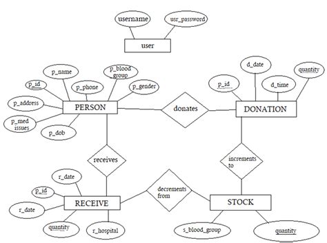 Sample Er Diagram Of Blood Bank Management System Printable Templates