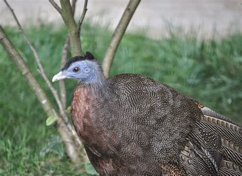Товары для здоровья и быта. ZOOTOGRAFIANDO (MI COLECCIÓN DE FOTOS DE ANIMALES): ARGO ...