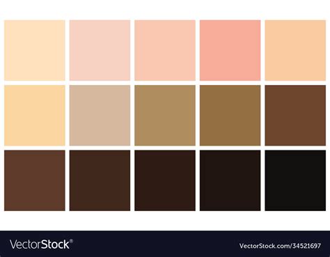 Human Skin Tones Color Palette Set Skin Color Vector Image