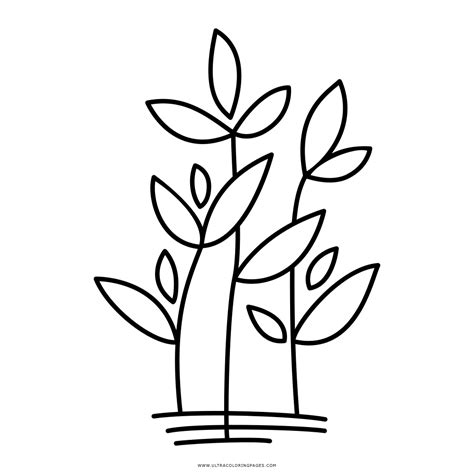 Dibujo De Plantas Para Colorear Ultra Coloring Pages