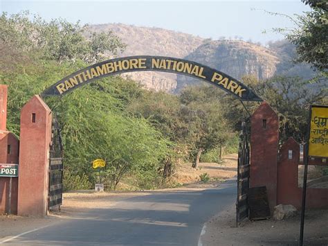 Information About Ranthambore National Park And Its History