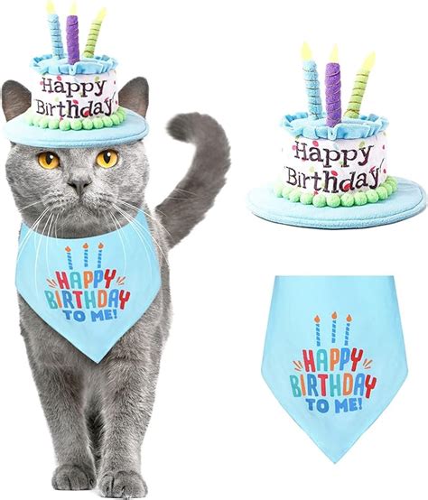 Cat Birthday Hats How To Celebrate Your Cats Birthday