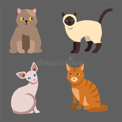 Cat Breed Cute Pet Portrait Fluffy Young Adorable Cartoon Animal And