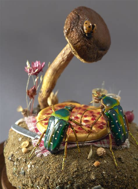 Insect Dioramas By Lisa Wood Art Is A Way