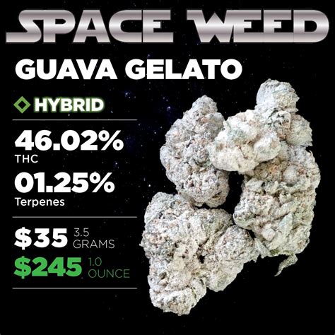 American Cannabis Company Dr Funkys Space Weed Guava Gelato 35g