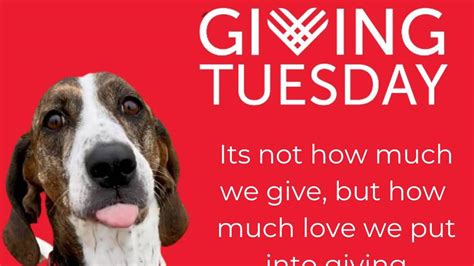 Tri Cities Charities Seek Your Help This Giving Tuesday Tri City Herald