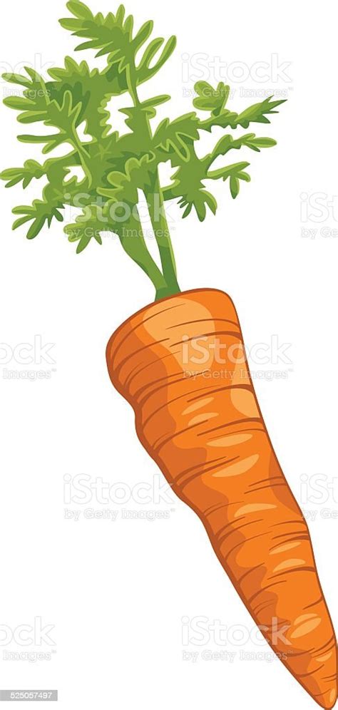 Carrot Root Vegetable Cartoon Illustration Stock Illustration