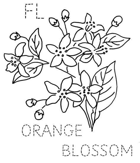 Get inspired by color combination orange blossom and create a design. Florida Orange Blossom | To download the 6-inch block size ...