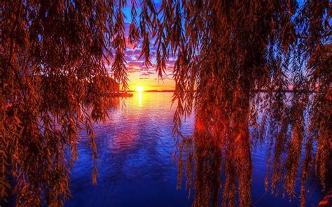 Autumn Sunset Sunset Sun Willow Lake Hd Wallpaper Peakpx