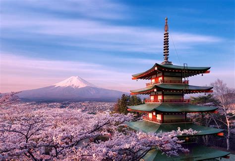 Japan Stratovolcano Mount Fuji Spring Pagoda Architecture Tree