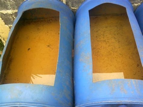 Ternak belut dalam ember merupakan alternatif bagi kawan yang ingin budidaya belut dalam lahan yang sempit dan modal terbatas. Cara Budidaya Belut Dalam Drum Atau Tong - CATATAN KECIL ...