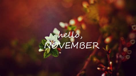 Check The Best Collection Of Hello November Hd Wallpapers For Desktop