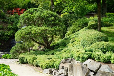 Japanischer garten previous next ein stück fernost in die trauung fand im japanischen garten in kaiserslautern statt. Japanischer Garten, Kaiserslautern - 2015 | Kneipp-Verein ...