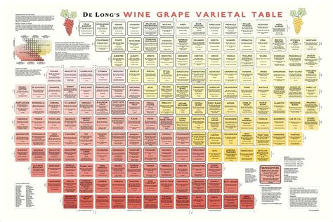 Wine Grape Varietal Table Florida Wine Academy
