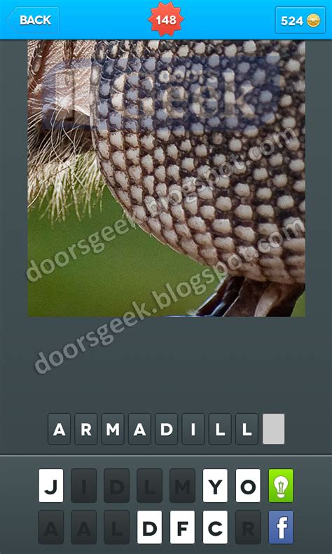 Zoomed In Photo Word Game Level 148 ~ Doors Geek