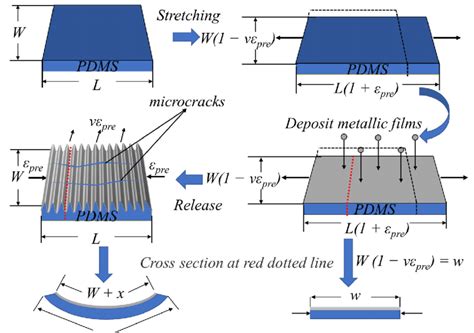 Schematic Diagram Of Microcrack Formation In Wrinkled Metallic Thin