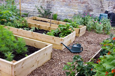 It offers to give your vegetables an edge on birds and frost, consider adding hoops to hold up bird netting or a set those pipes upright against the bed sides, making sure that each pvc pipe has a parallel pipe. Raised Bed Vegetable Layout Guide - Best Way Easily Grow Food