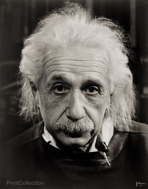 Albert Einstein Einstein Albert Einstein Portrait