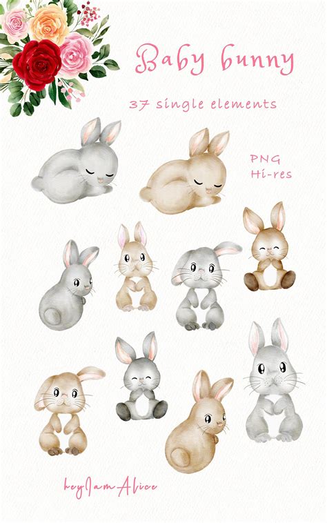 Cute Bunny Watercolor Illustration Download Rabbit Watercolour Png