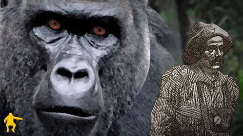 The Mythos Of The Gorilla Youtube