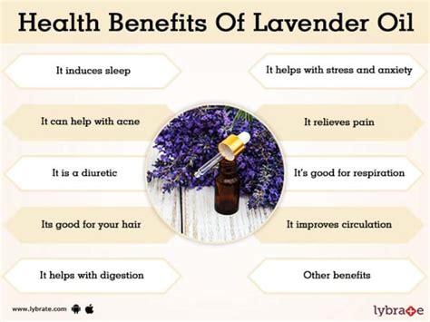 Lavender Essential Oil Uses Hair Lavender Oil Uses And Benefits DÅ