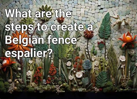 What Are The Steps To Create A Belgian Fence Espalier Gardeninggov