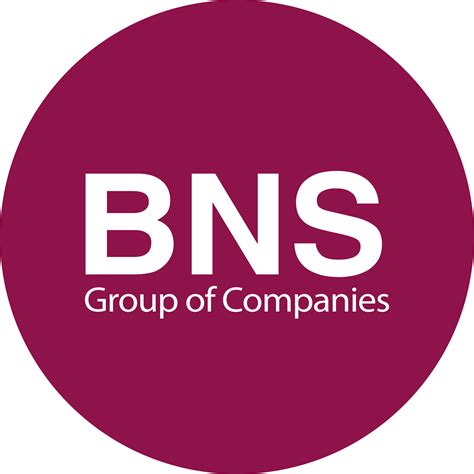 Bns Group Logos Download