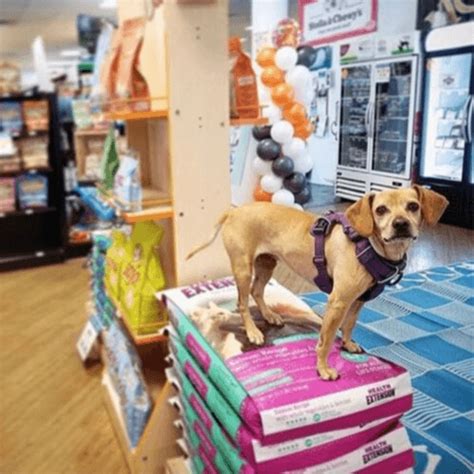 This place is truly a pet friendly place. Home - Global Pet Food Outlet