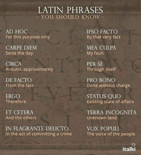 Pin By Master Therion On Language Latin Phrases Latin Quotes Writing Words