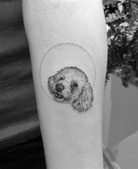 15 Ideas For A Poodle Tattoo