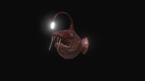 Weird Deepsea Anglerfish Download Free 3d Model By Rickstikkelorum