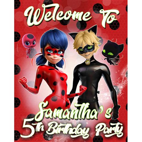 Miraculous Ladybug Cat Noir Personalised Birthday Party Supplies Banner