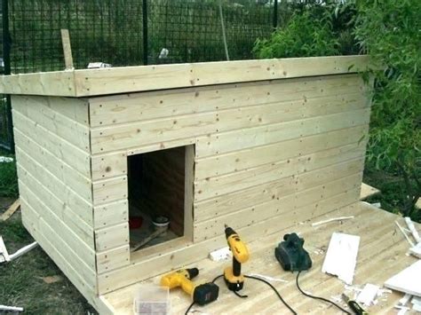 How To Keep A Dog House Warm In The Winter Insulated Dog House Dog