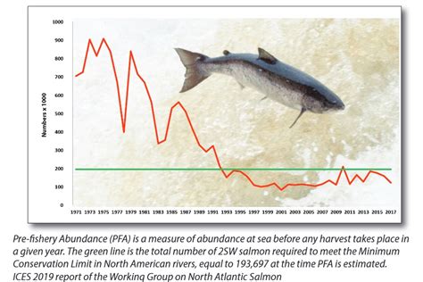A Little Good News And Some Big Bad News On Atlantic Salmon Granite