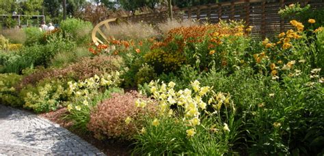 We did not find results for: Garten Pflanzen: Beispiele, Bilder & Tipps