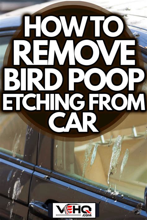 How To Remove Bird Poop Etching From Car 2023